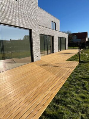 Lignia terras door A S Bloemmen uit Herselt 1