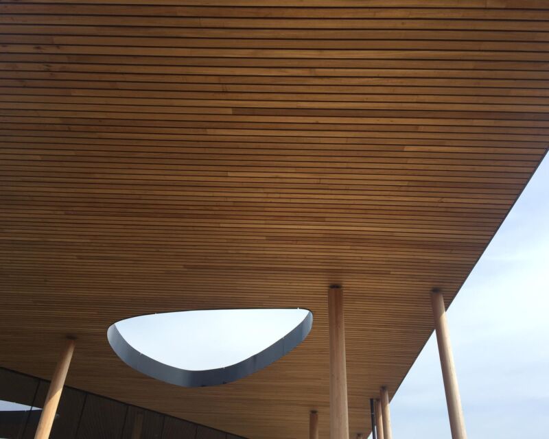 Thermo Wood Ayous 09