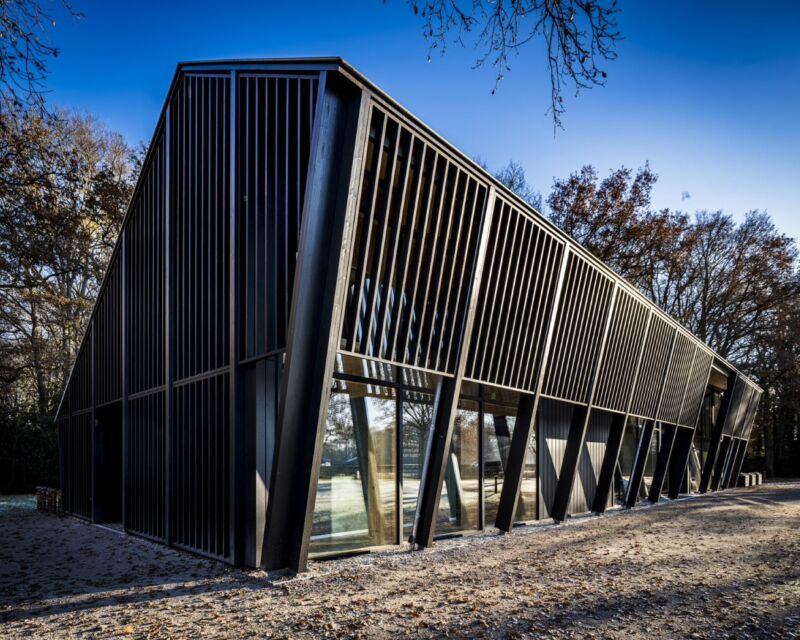 Thermo Wood Fraké 05